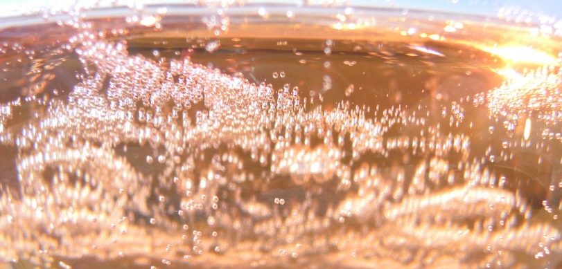 Pinot Rose' Pas Dose' Torre Fornello _ph E.Negroni