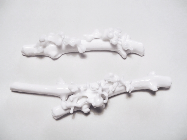 Dal-Vera_TralciInvernali