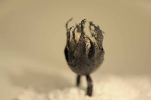 938714_526899610804327_536409945_o