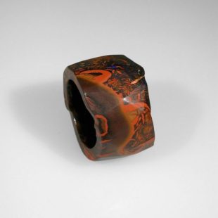 Sergio Spivach and Stefano Spivach, Rules, ring